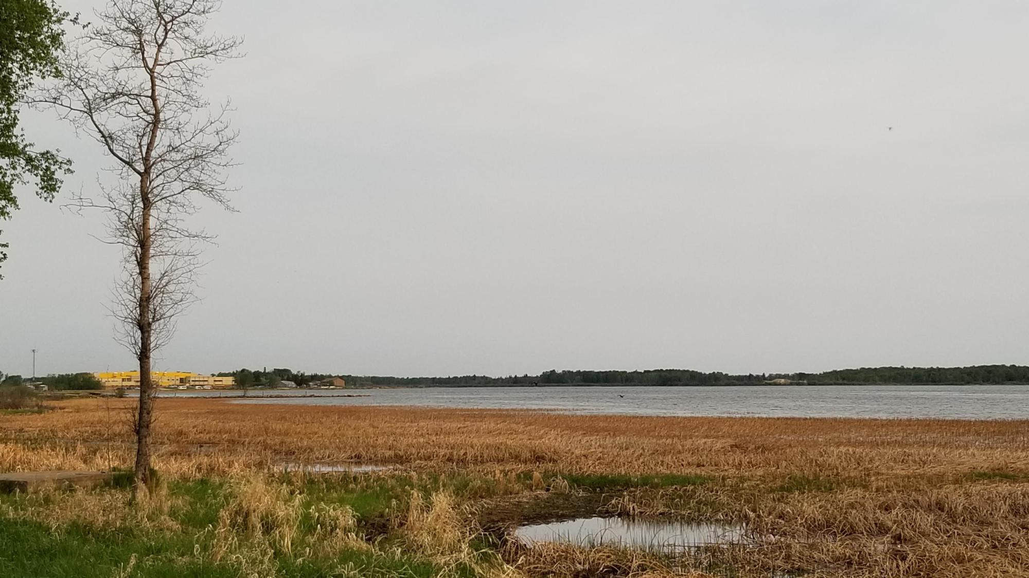 image of landscape with lake and grasslands