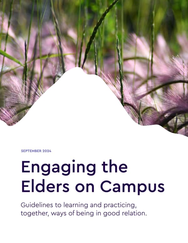 Document cover of the Engaging the Elders on Campus guidelines