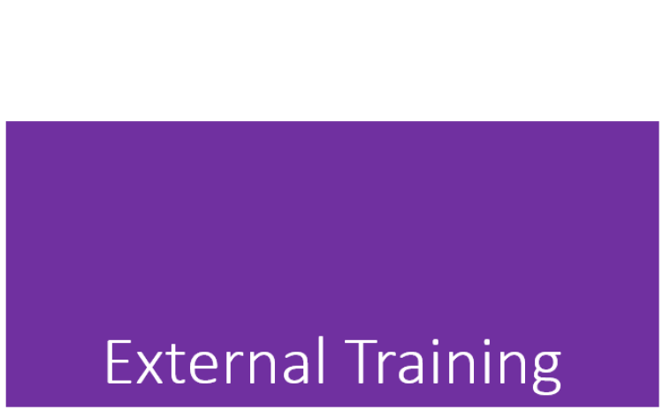 External training