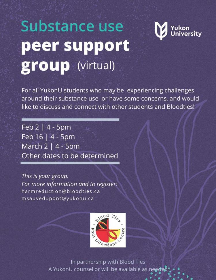 Substance use peer support group